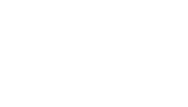 Schriftzug Women Style